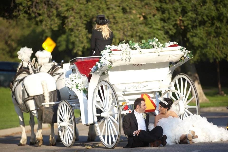 Wedding Horse and Carriage Rentals CA Cindy Cinderella Carriages