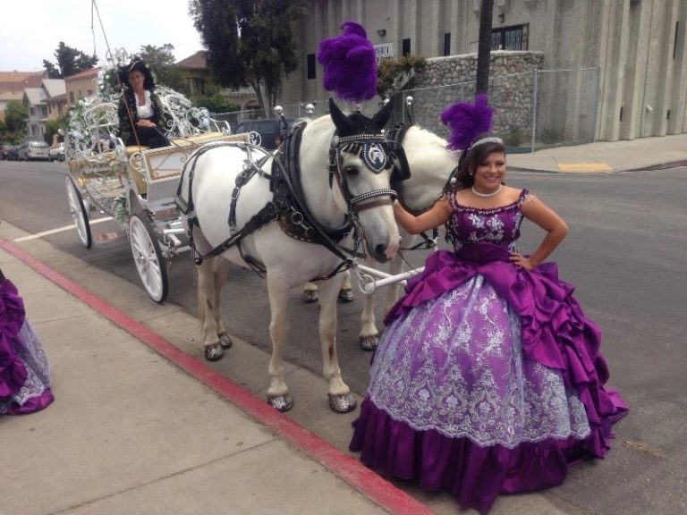 Cinderella Quinceanera Carriage Rental CA by Cindy Cinderella Carriage