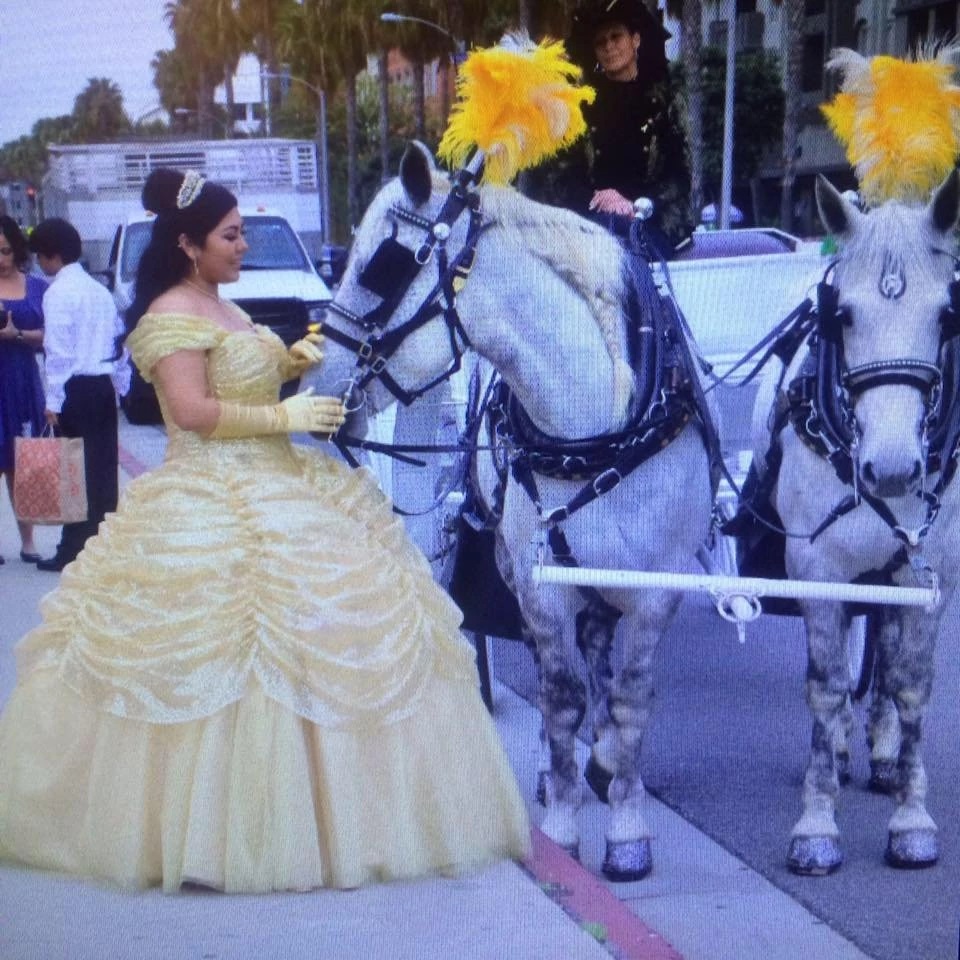 Cinderella Quinceanera Carriage Rental CA by Cindy Cinderella Carriage